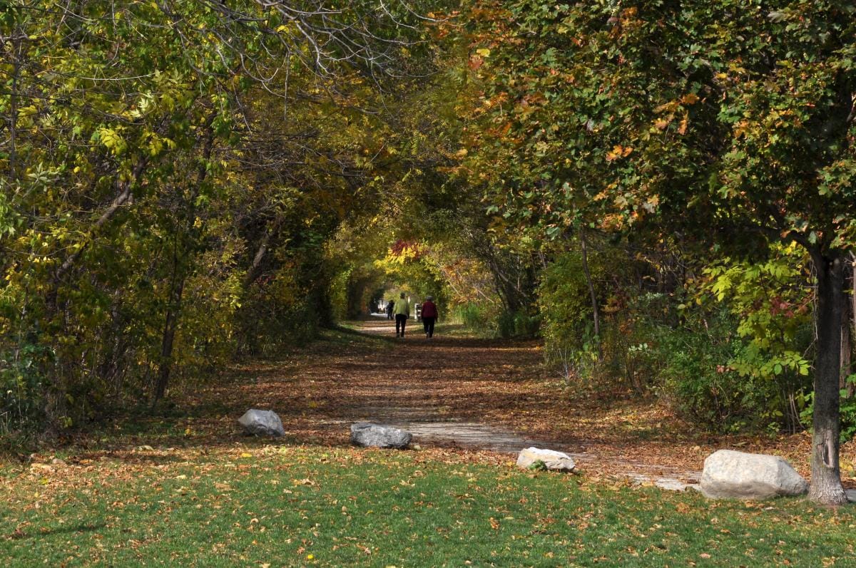 Matthew Wells photo of trails entrance