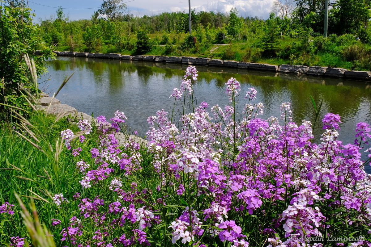 Scenic view of Lower Black Ash Creek