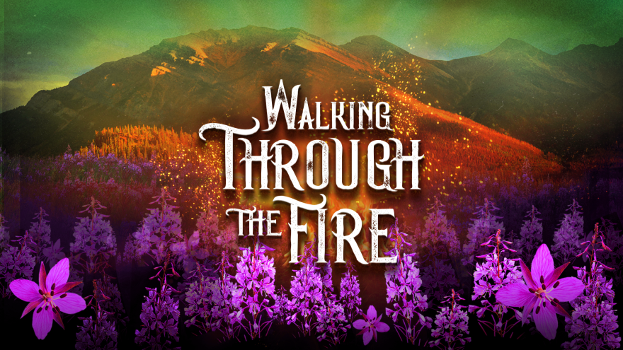 Walking Through The Fire