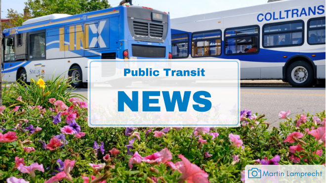 two transit busses parked with flowers in the foreground