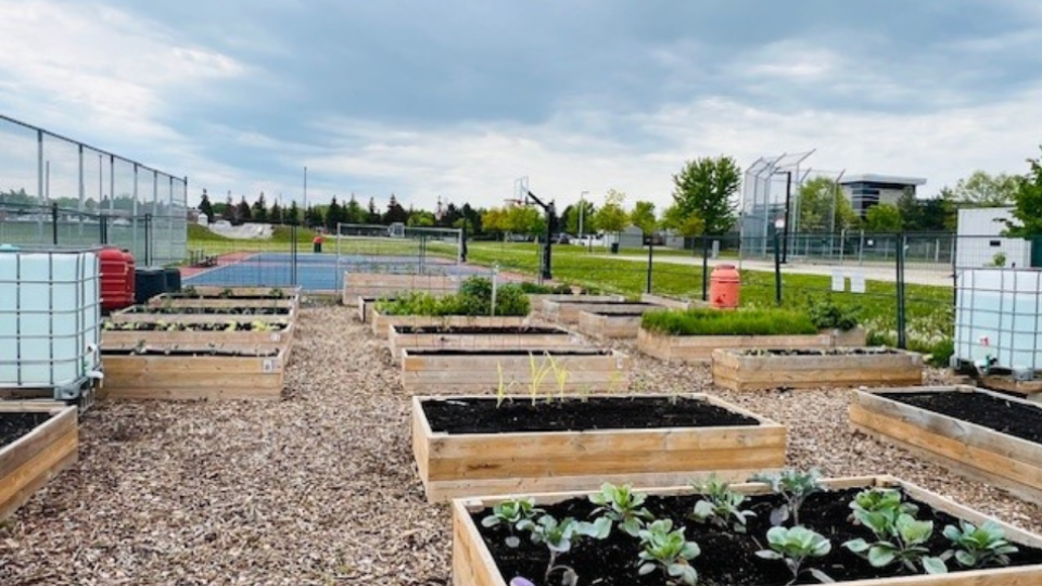 Community Garden at Heritage Park
