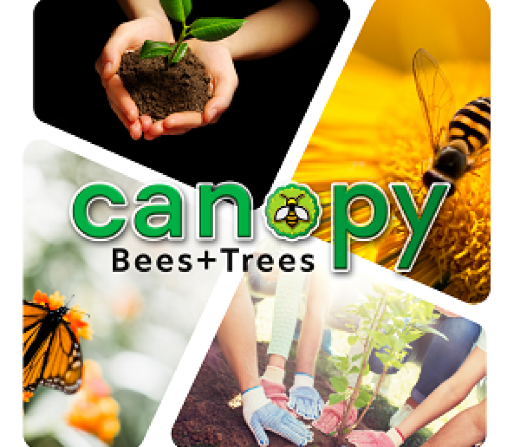 Canopy Collingwood Bees & Trees