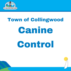 Canine Control branded icon with blue text and logo