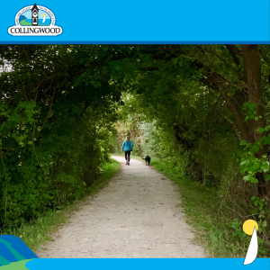 photo of a person walking a dog on a gravel trail