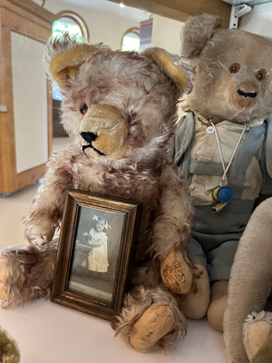 Museum Teddy with picture