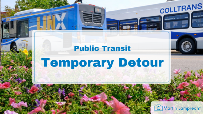 two public transit buses with flowers in the foreground and text indicating a temporary transit detour