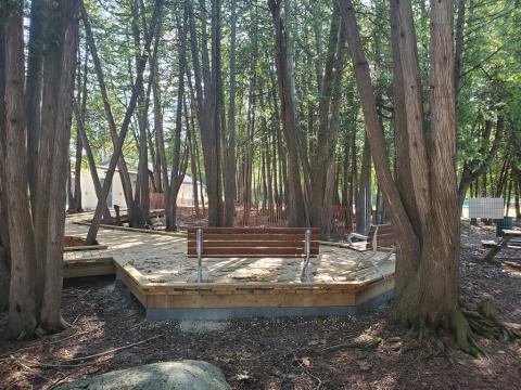 Benches within the trees at Sunset Point Park