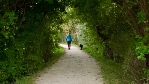 gravel trail with person walking a black dog and green trees surrounding