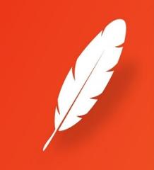 white feather on orange background