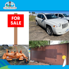 collage of photos with an illustrated For Sale sign