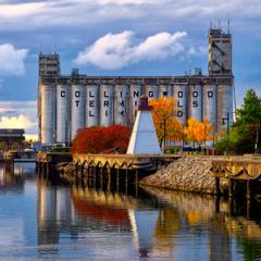 grain terminals