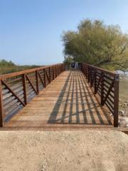 image of bridge at hen & chickens trail