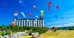 a variety of multicoloured kites flying with a blue sky and the grain terminals in the background