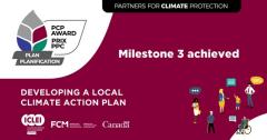 PCP Award: Milestone 3