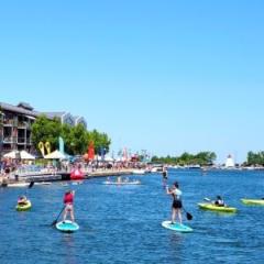 photo of people paddleboarding and kayaking on water