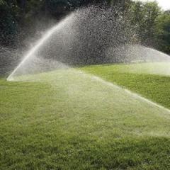 Sprinkler