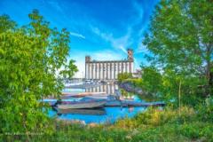 grain terminals through trees