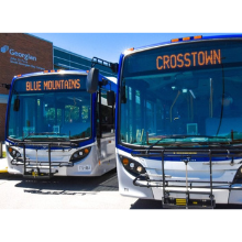 Collingwood Public Transit 