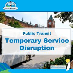 Public transit temporary service disruption