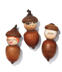 Acorn People