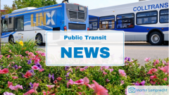 two transit busses parked with flowers in the foreground