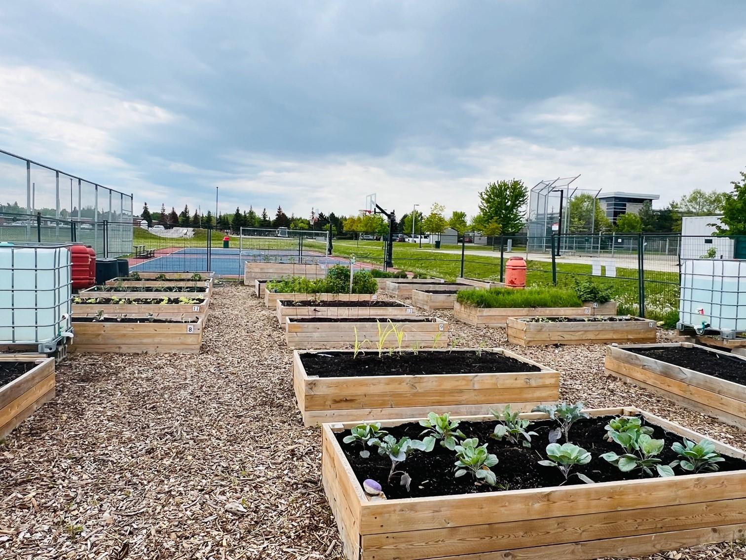 Heritage Community Gardens
