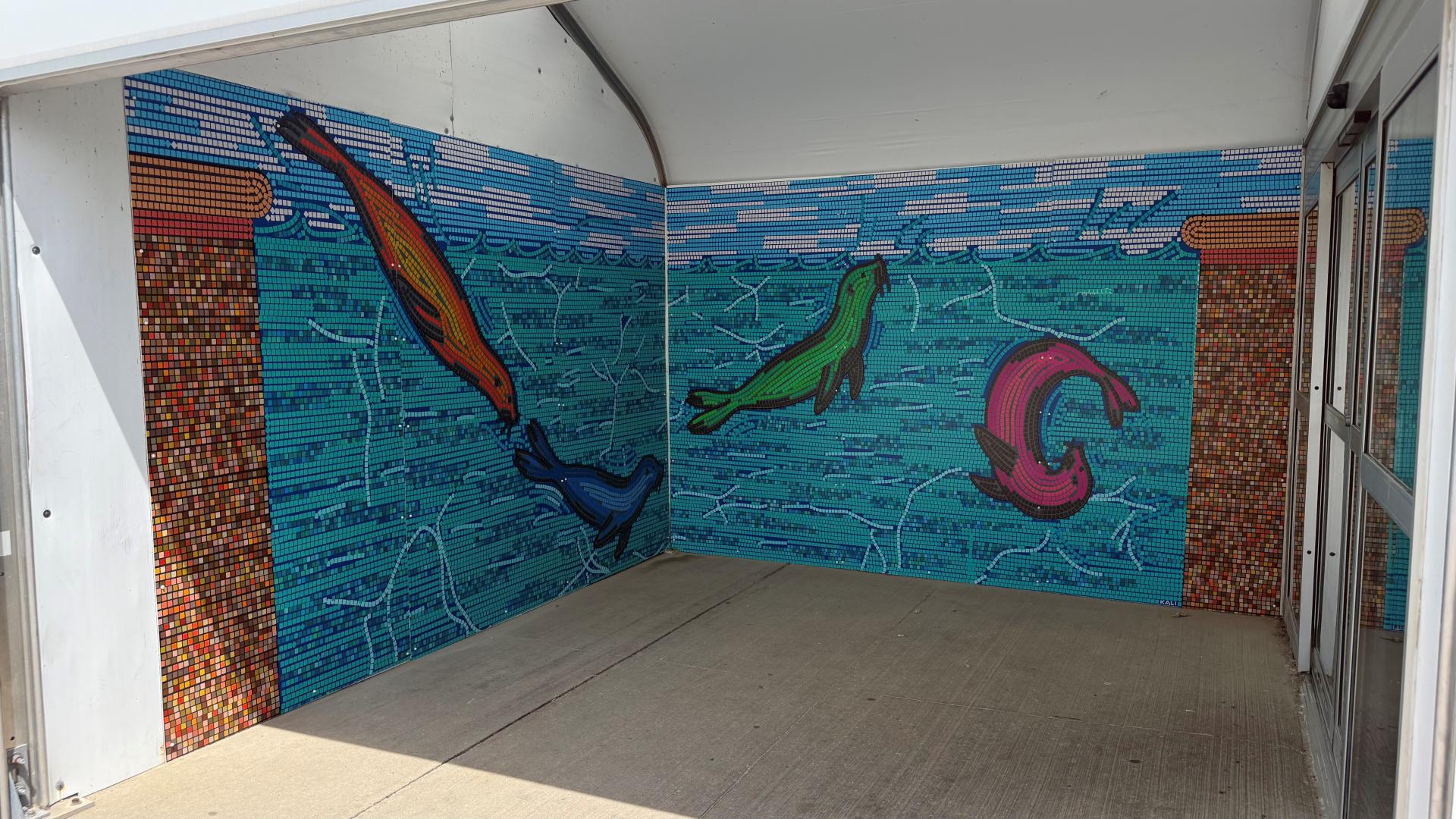 art mural of seals and dolphins swimming under water