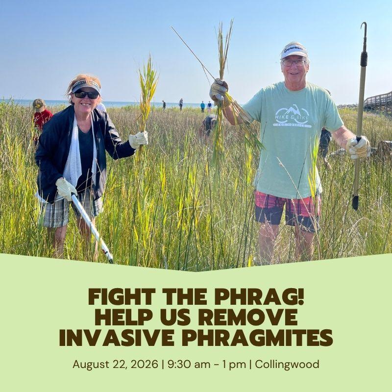 Fight the Phrag. help us remove invasive phragmites, August 22, 2026