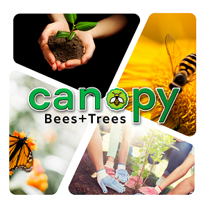 Canopy Collingwood Bees & Trees